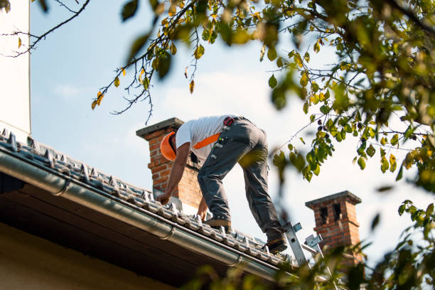 Quick and Trustworthy Emergency Roof Repair Services in Seth Ward, TX