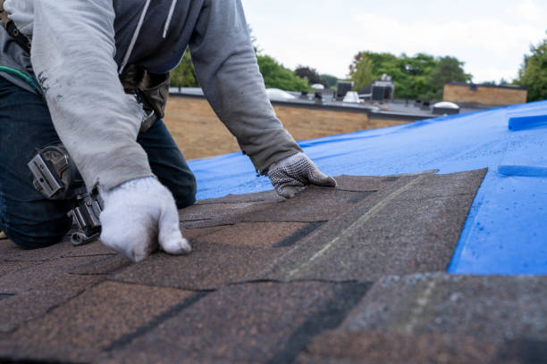 Best Sealant for Roof  in Seth Ward, TX