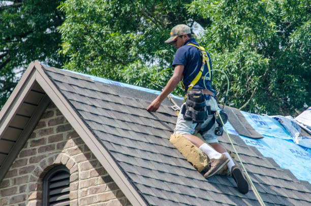 Best Metal Roofing Contractor  in Seth Ward, TX
